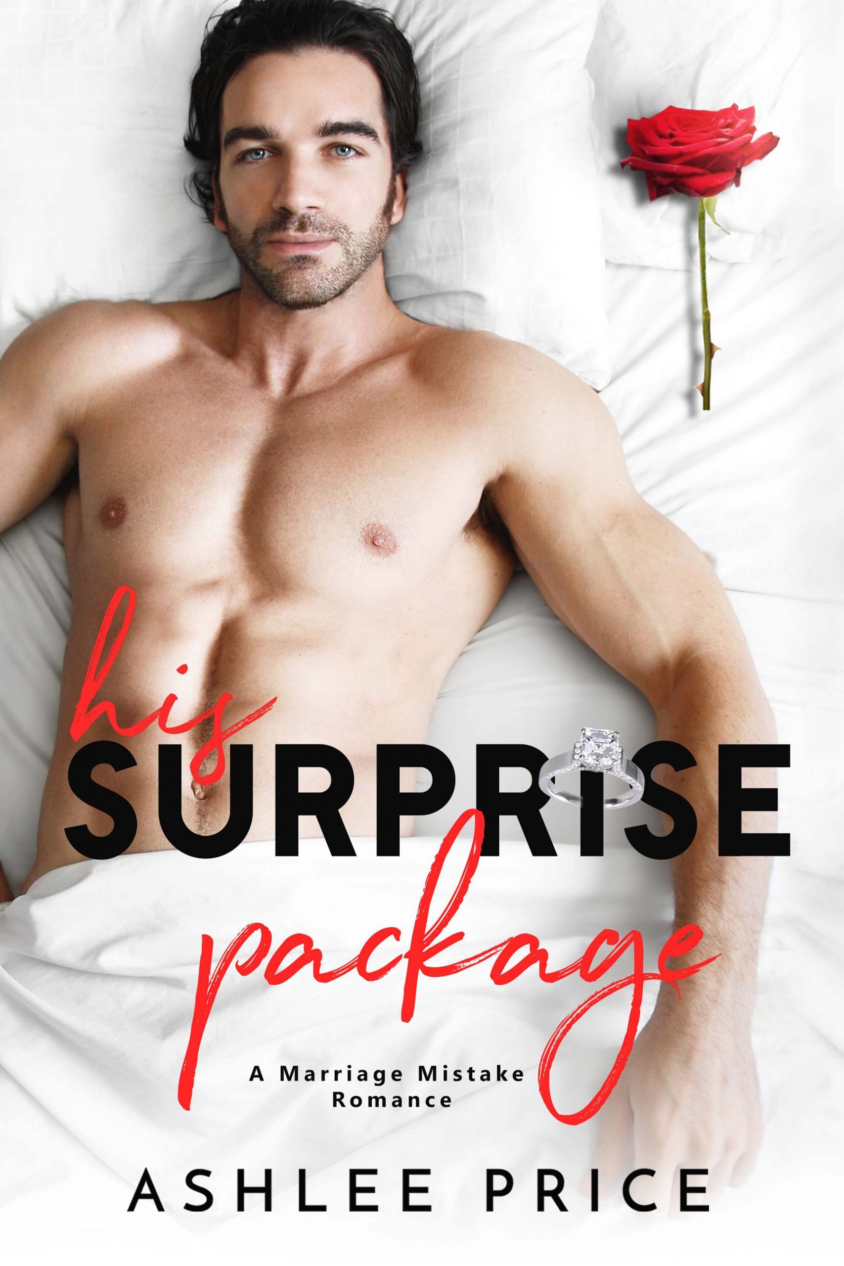 hissurprisepackage6x9new-1883017